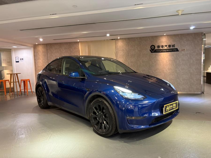 TESLA Model Y Lond Range